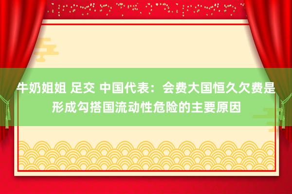 牛奶姐姐 足交 中国代表：会费大国恒久欠费是形成勾搭国流动性危险的主要原因
