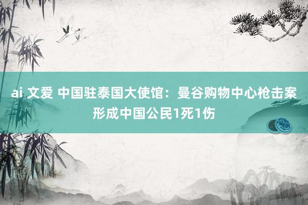 ai 文爱 中国驻泰国大使馆：曼谷购物中心枪击案形成中国公民1死1伤