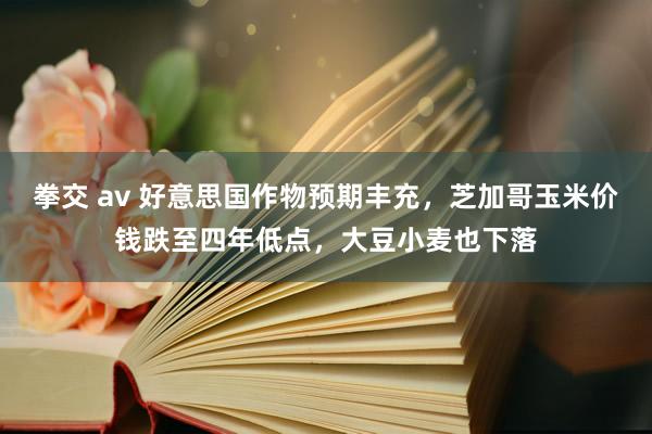 拳交 av 好意思国作物预期丰充，芝加哥玉米价钱跌至四年低点，大豆小麦也下落