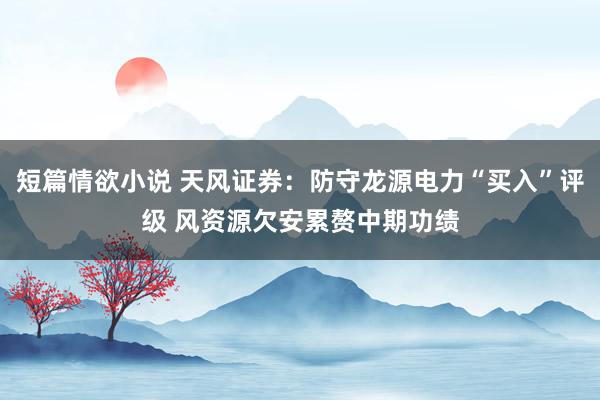 短篇情欲小说 天风证券：防守龙源电力“买入”评级 风资源欠安累赘中期功绩