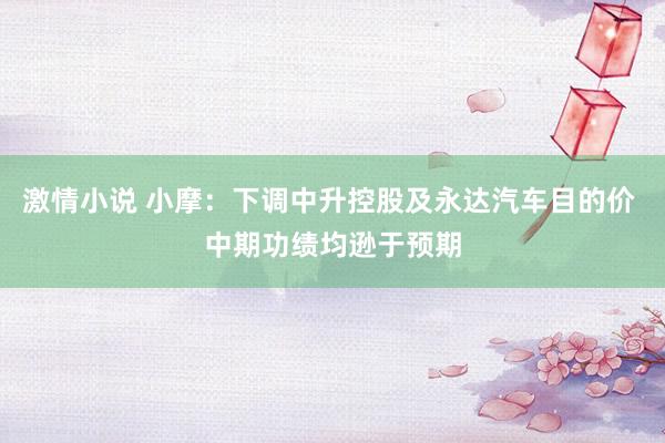 激情小说 小摩：下调中升控股及永达汽车目的价 中期功绩均逊于预期