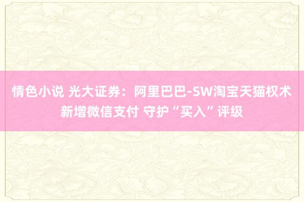 情色小说 光大证券：阿里巴巴-SW淘宝天猫权术新增微信支付 守护“买入”评级