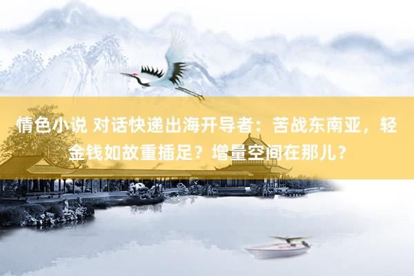 情色小说 对话快递出海开导者：苦战东南亚，轻金钱如故重插足？增量空间在那儿？