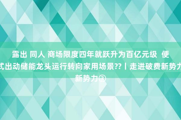 露出 同人 商场限度四年就跃升为百亿元级  便携式出动储能龙头运行转向家用场景??丨走进破费新势力③