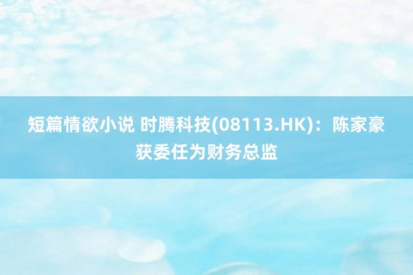 短篇情欲小说 时腾科技(08113.HK)：陈家豪获委任为财务总监