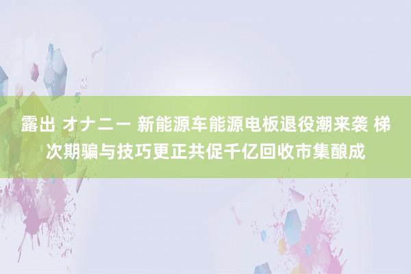 露出 オナニー 新能源车能源电板退役潮来袭 梯次期骗与技巧更正共促千亿回收市集酿成