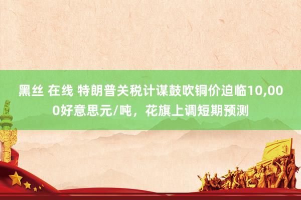 黑丝 在线 特朗普关税计谋鼓吹铜价迫临10，000好意思元/吨，花旗上调短期预测