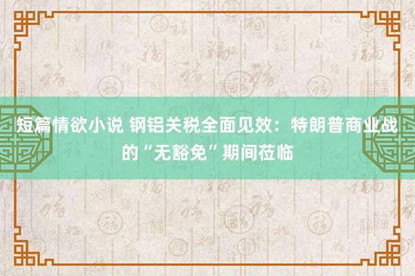 短篇情欲小说 钢铝关税全面见效：特朗普商业战的“无豁免”期间莅临